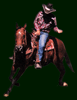 Horse Clinic