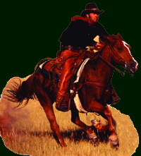 Long Rider