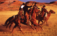 Cowboy's on Horses